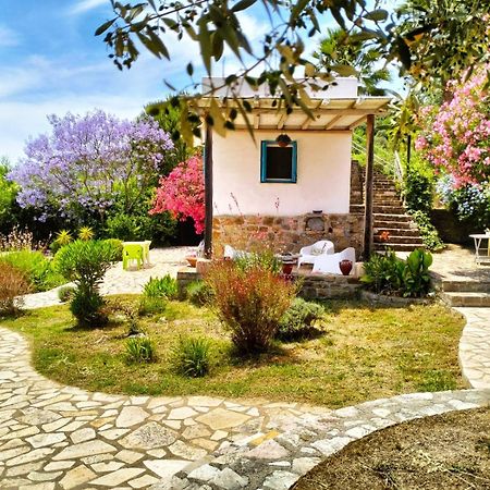 Lemon Tree Cottage Финикунда Экстерьер фото